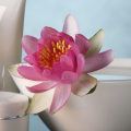 What Type of Products Does Massage Therapy Require?